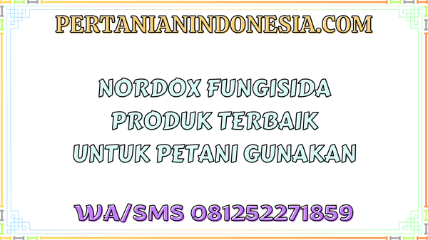 Nordox Fungisida Produk Terbaik Untuk Petani Gunakan